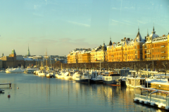 BILD0310